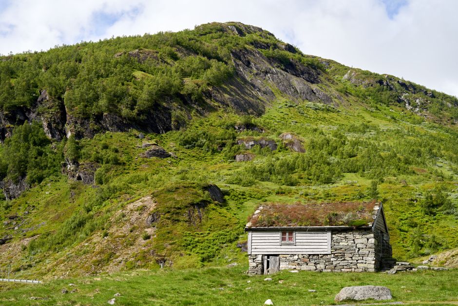 Utforskning av Norsk Kultur: Tradisjoner, Kunst og Samfunn
